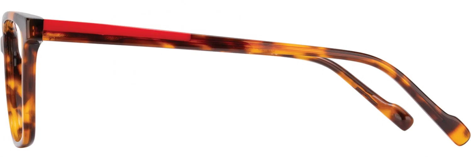 Scott Harris SH954 Eyeglasses - view 8